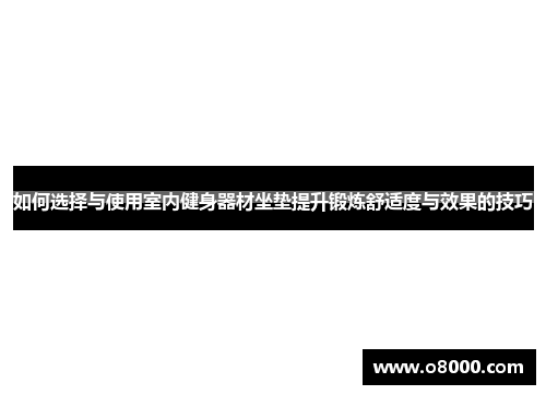 如何选择与使用室内健身器材坐垫提升锻炼舒适度与效果的技巧