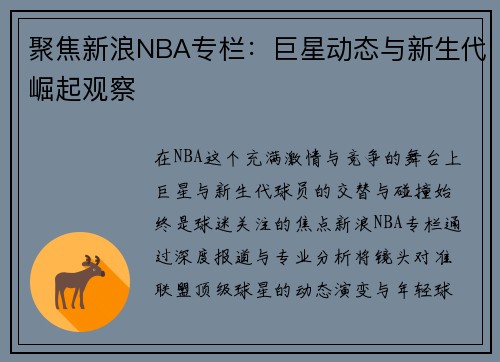 聚焦新浪NBA专栏：巨星动态与新生代崛起观察