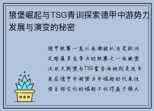 狼堡崛起与TSG青训探索德甲中游势力发展与演变的秘密