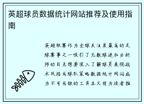 英超球员数据统计网站推荐及使用指南